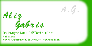 aliz gabris business card